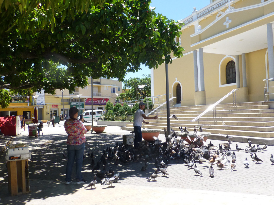 Catedral de San Francisco-Sincelejo必去景点