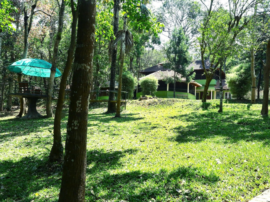 Wayanad Blooms主图