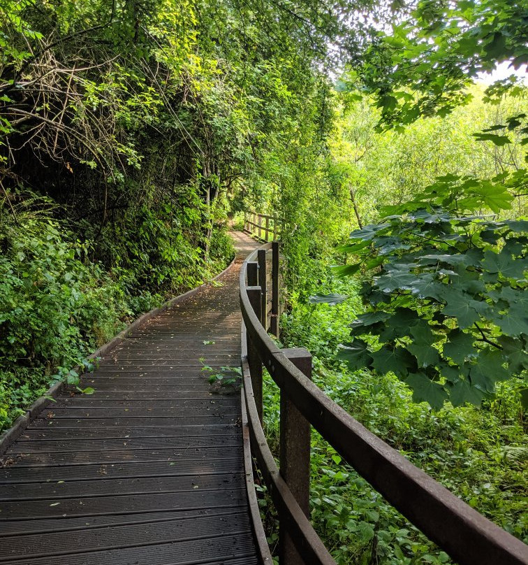 Plantsbrook Community Nature Park-伯明翰必去景点