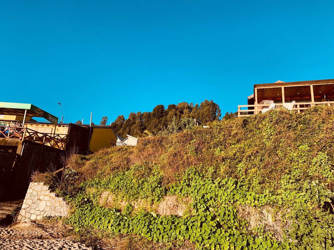 Playa de Cocholgue-Tome必去景点