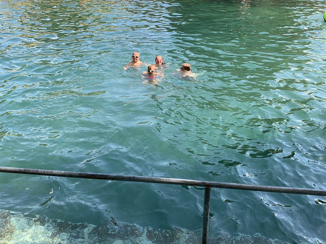 Landa Park Pool-新布朗费尔斯必去景点