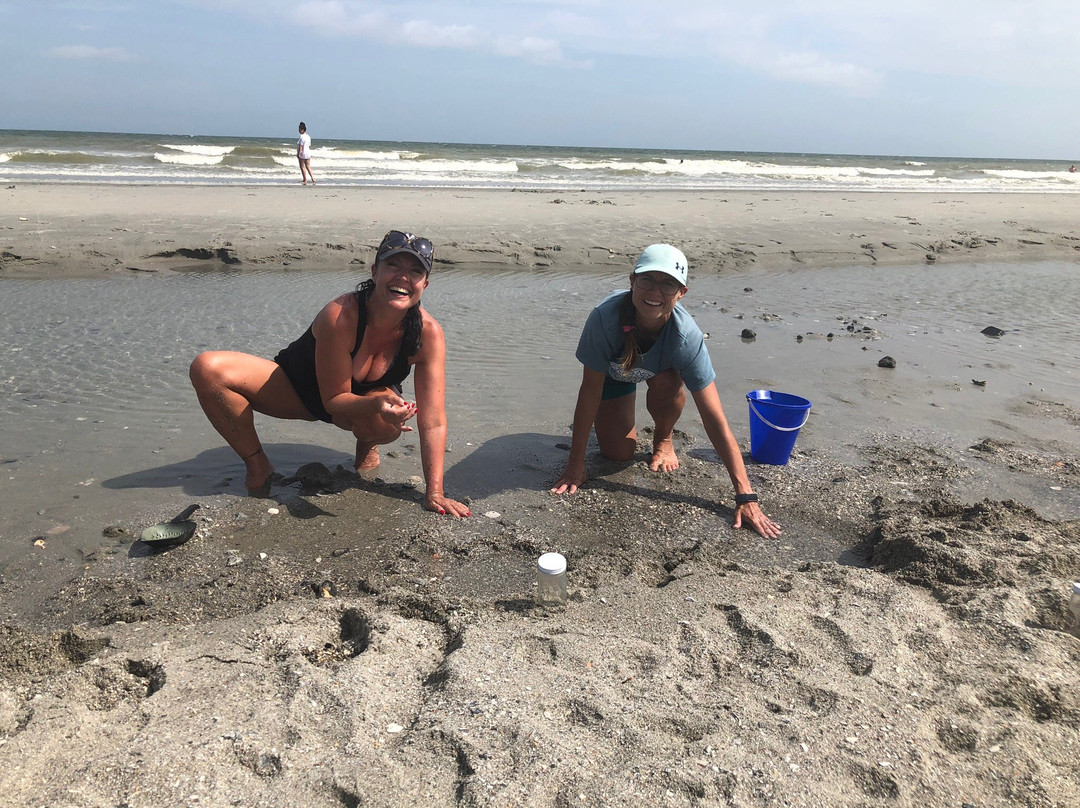 Fossils Forever - Shark Tooth Hunting Adventures-美特尔海滩必去景点