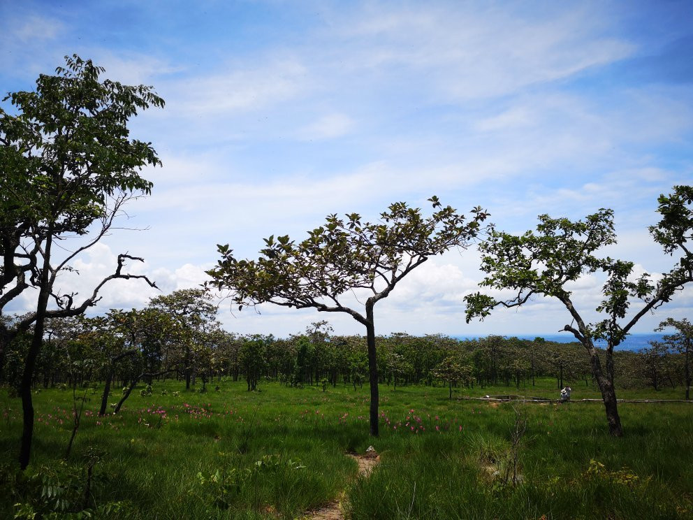 Sai Thong National Park景点图片