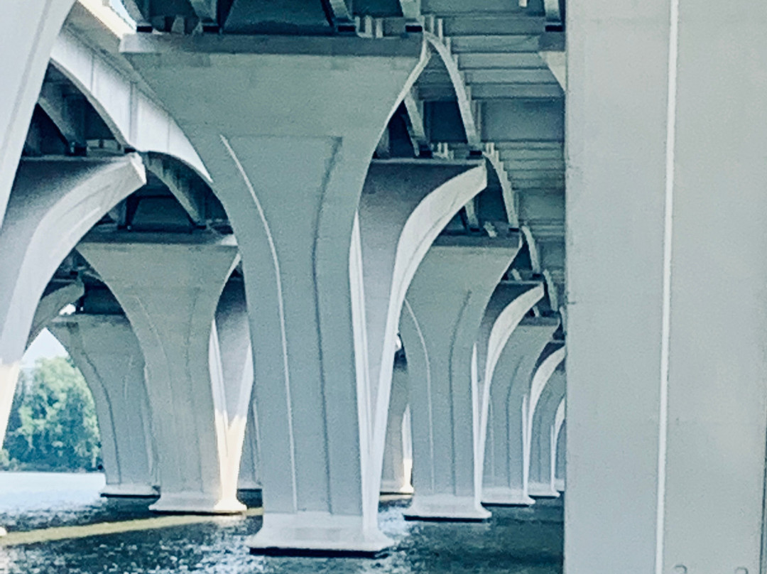 Potomac Water Taxi | City Cruises-亚历山德里亚必去景点