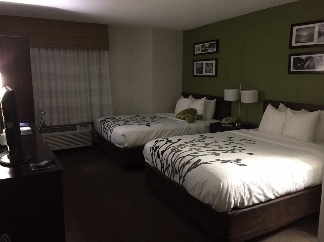 Sleep Inn Airport主图