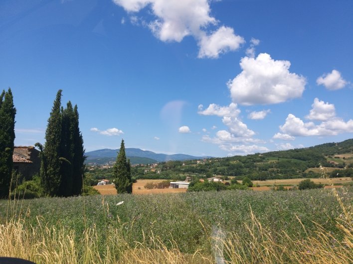 坎坡伦戈橡树酒店-官方