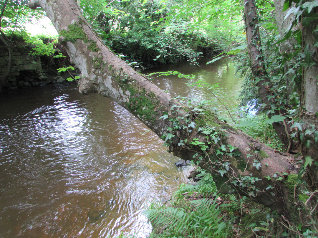 Newbattle Abbey-达尔基思必去景点