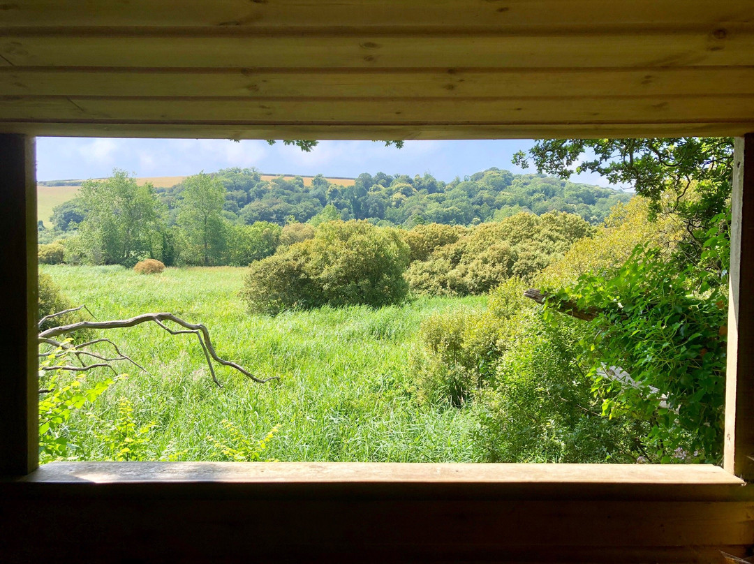 Slapton Ley Nature Reserve-Slapton必去景点