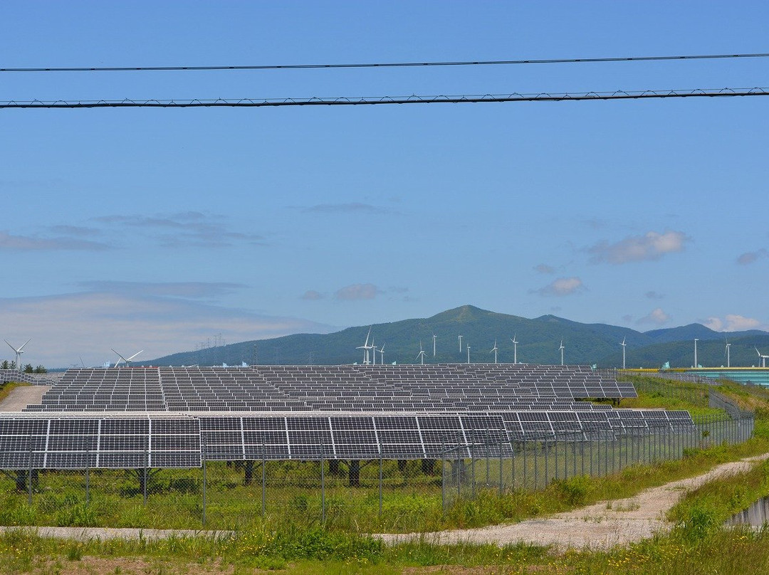Large-scale Wind Power Generation景点图片