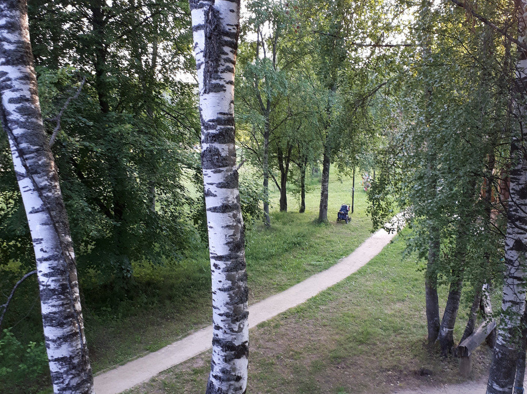 Park Hotel Berendeevka主图