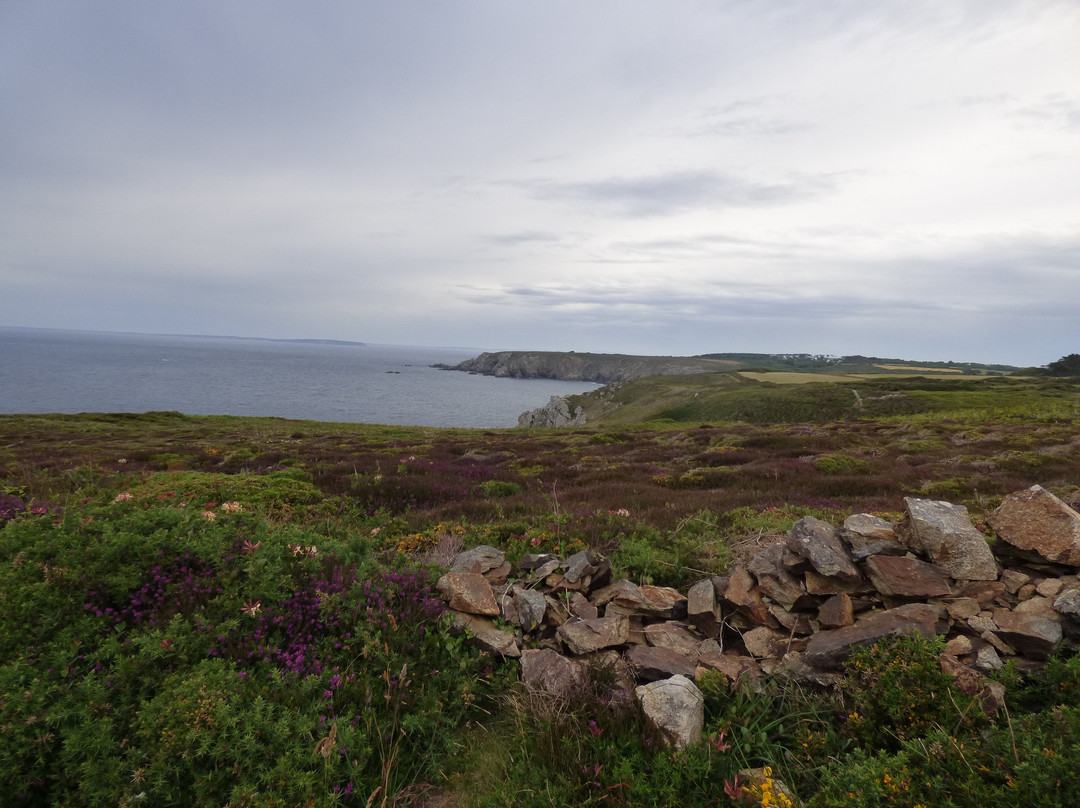 Pointe du Castelmeur景点图片