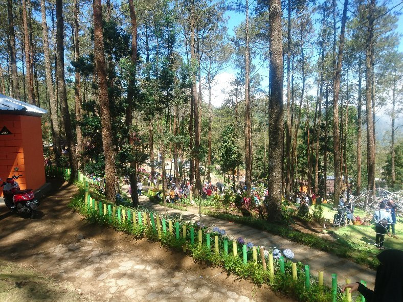 The Lawu Park景点图片