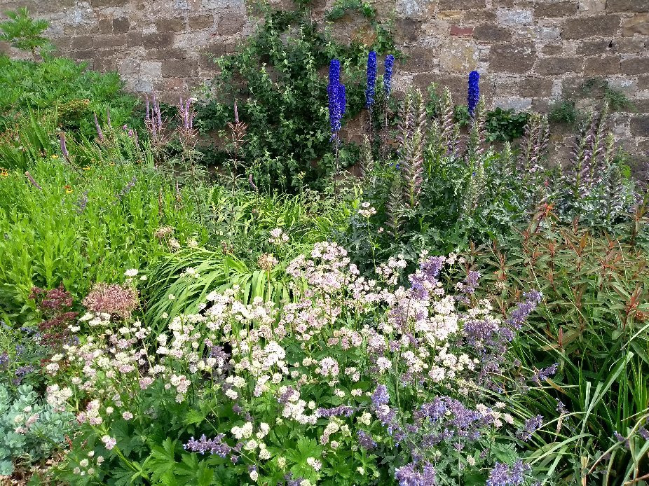 Amisfield Walled Garden-Haddington必去景点