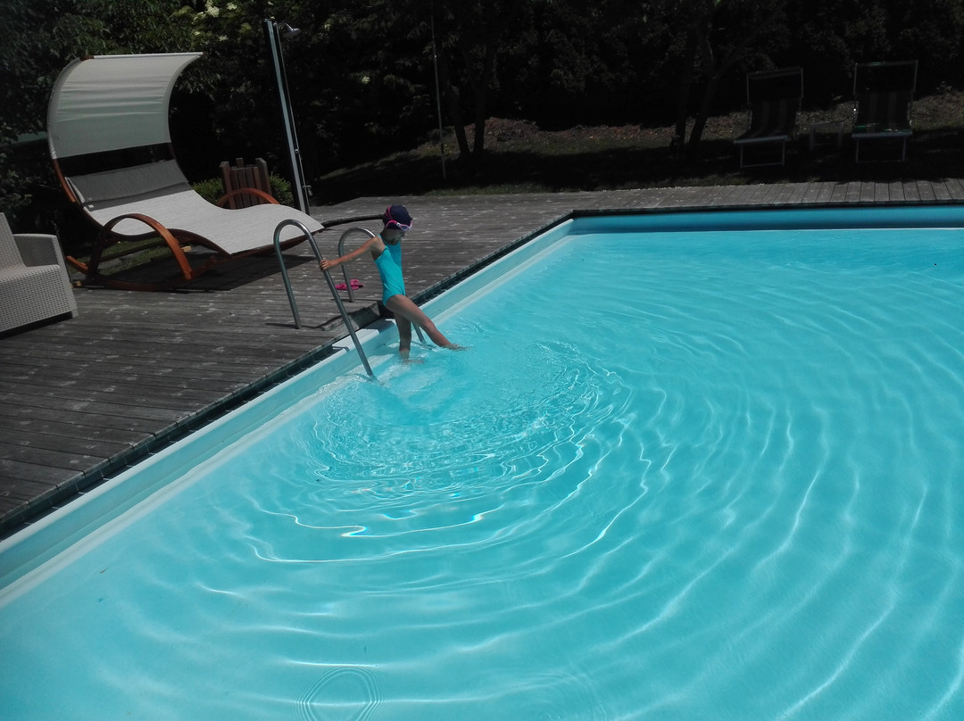 黛安娜费琳酒店主图