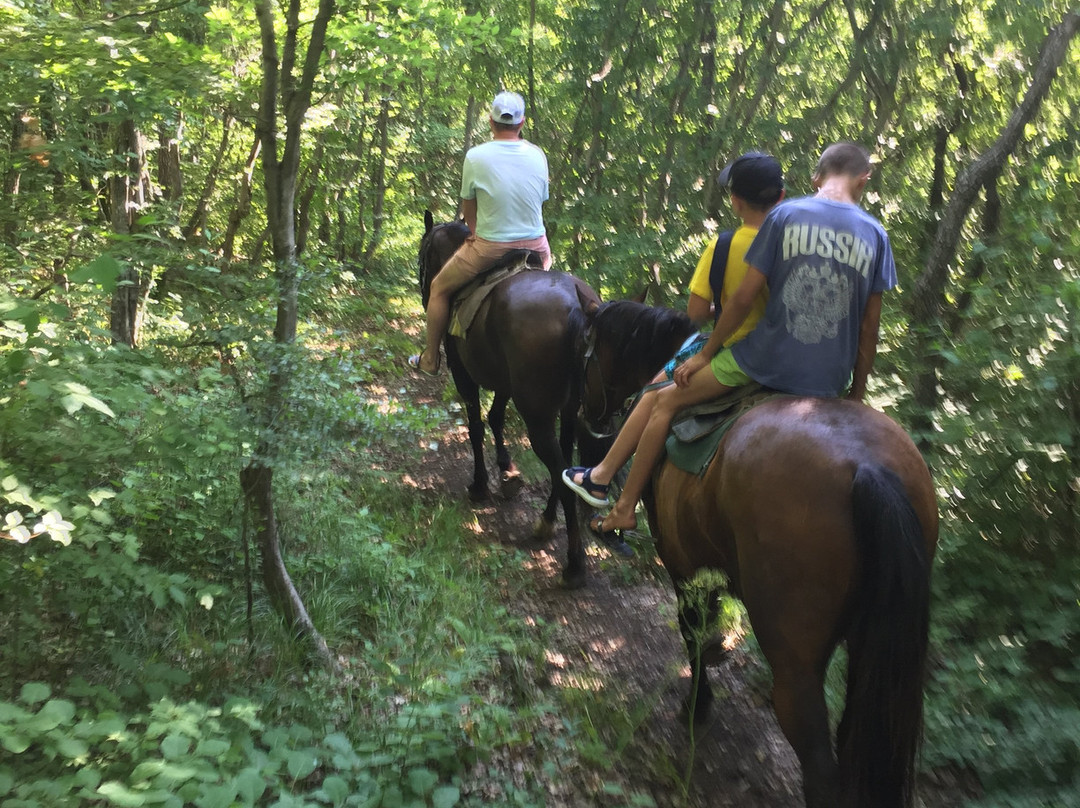 Horse Riding in Sukko Anapa-Sukko必去景点