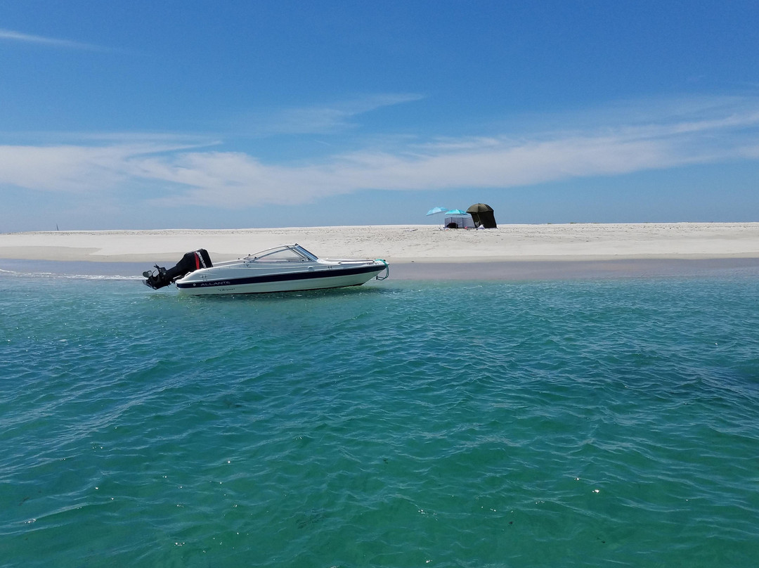 Natural Park Boat Tours-Setubal必去景点