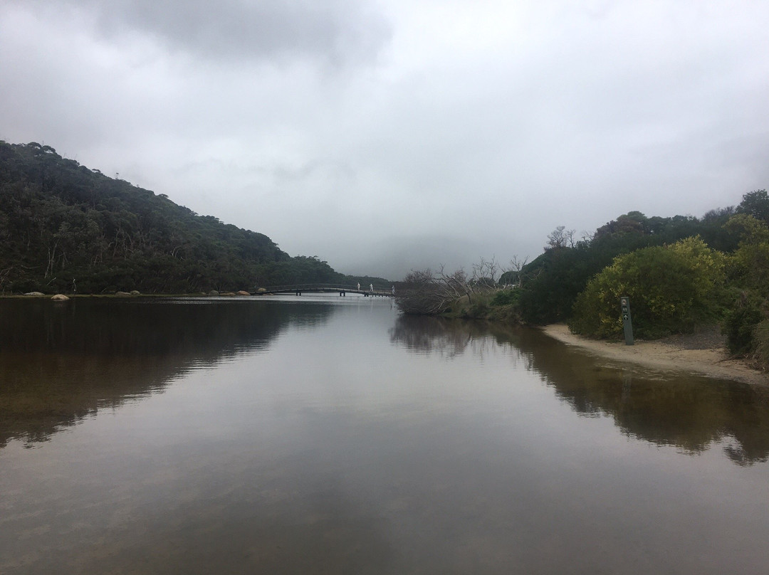 Tidal River Footbridge景点图片