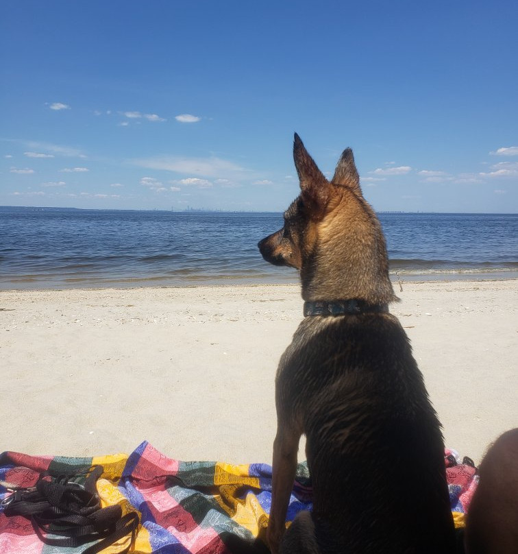 Ideal Beach景点图片