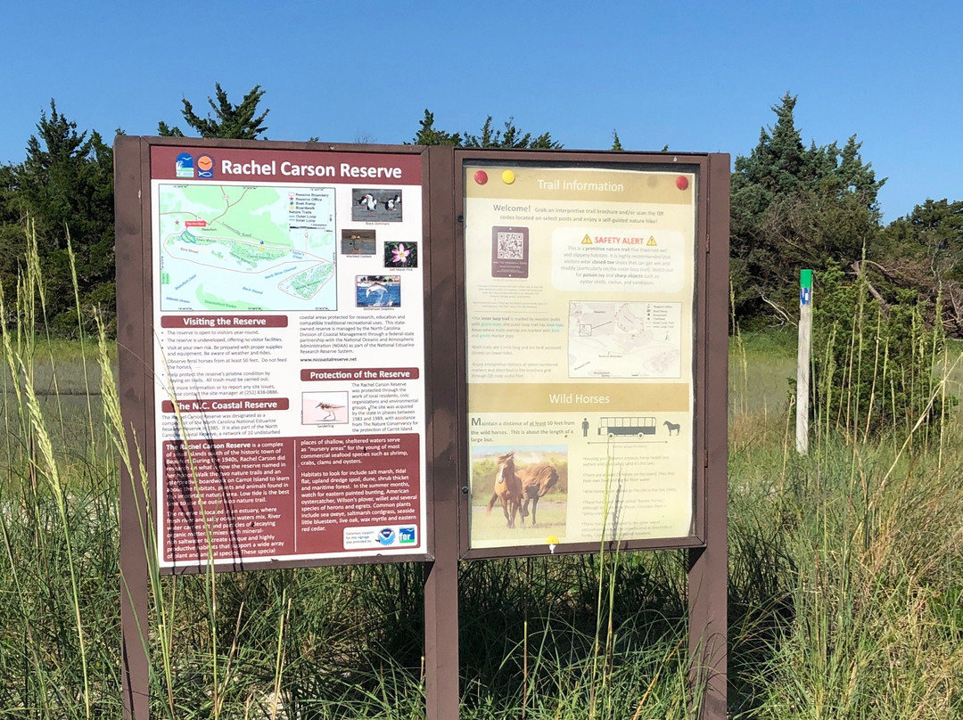 Rachel Carson Reserve景点图片