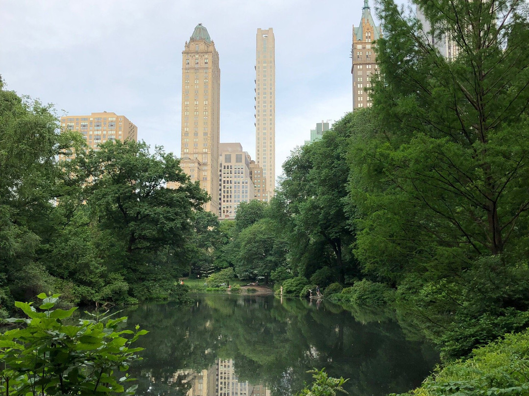 Gar Pond-White Springs必去景点