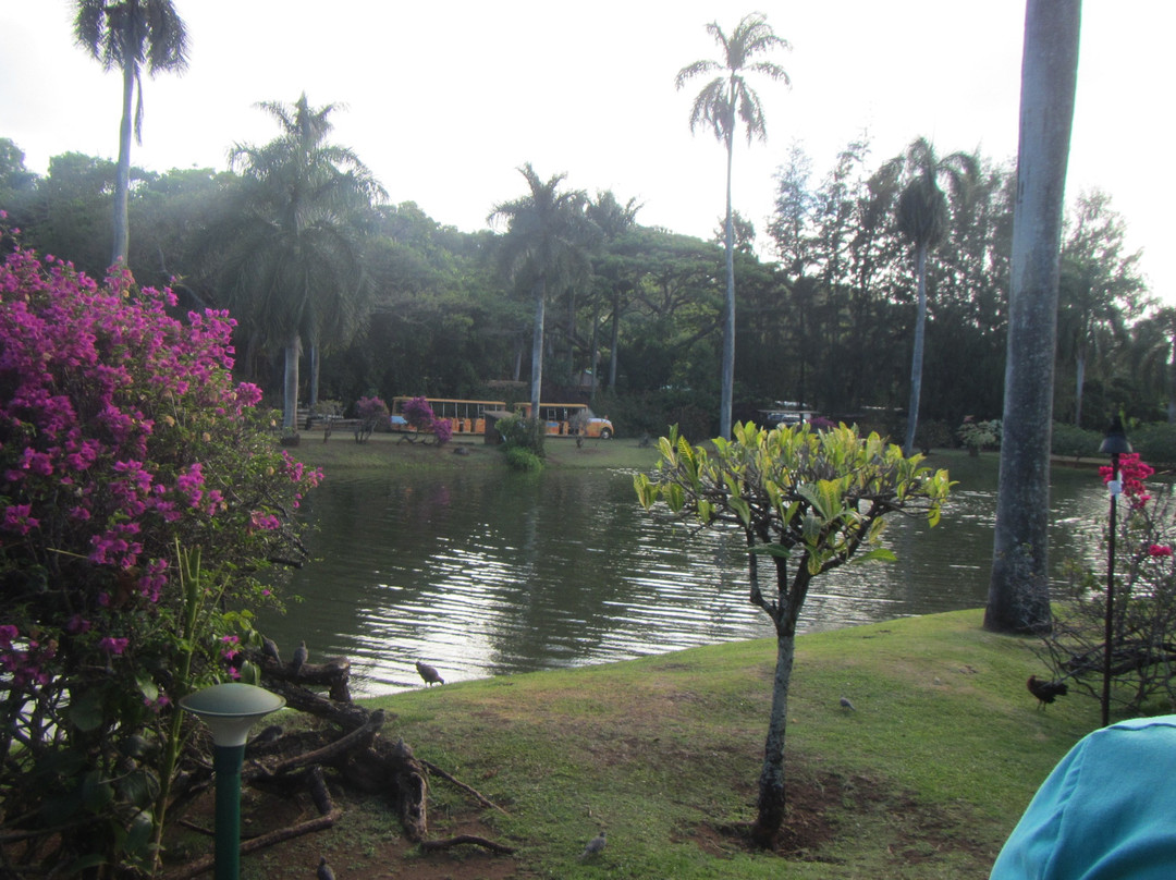 Smith's Tropical Paradise Luau景点图片