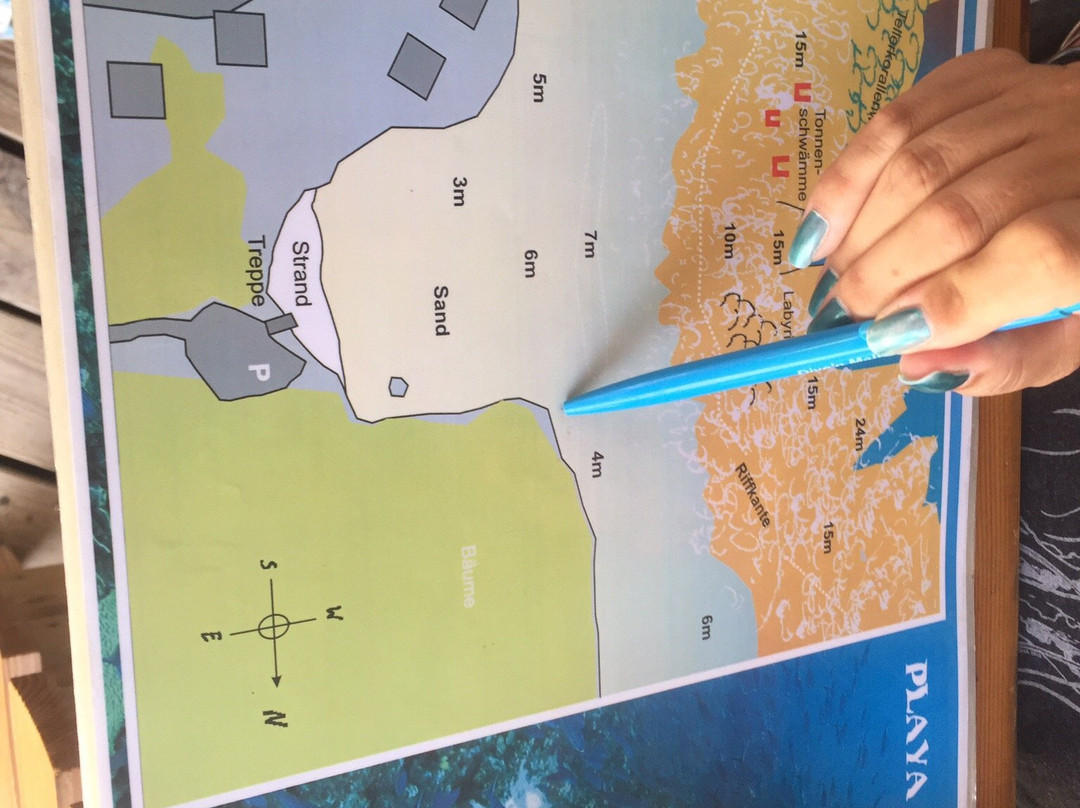 Dive'n Curacao-Sabana Westpunt必去景点