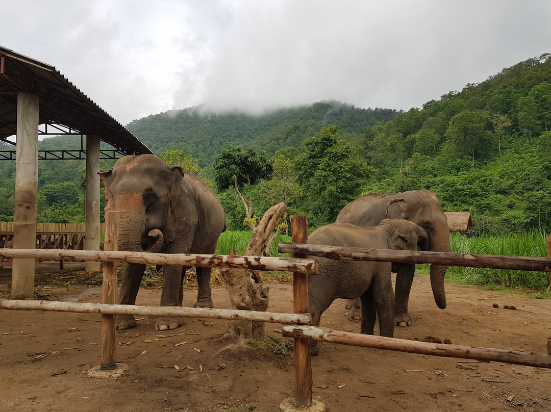 Chiangmai Mountain Sanctuary-清迈必去景点