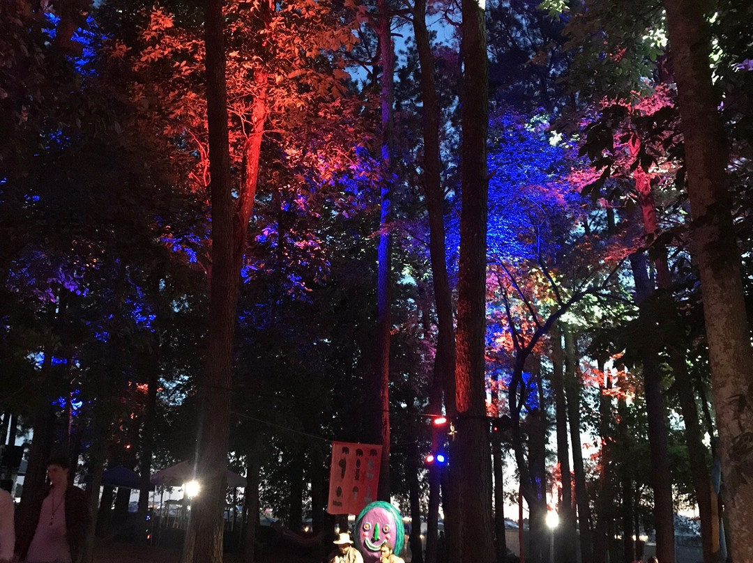 波纳若音乐节景点图片