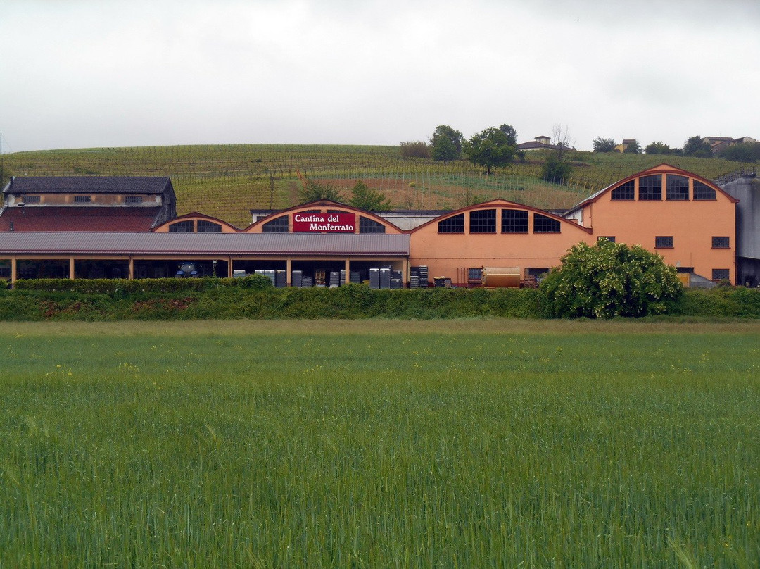 Cantina del Monferrato景点图片