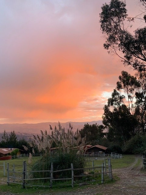 The Lazy Dog Inn a Mountain Lodge主图