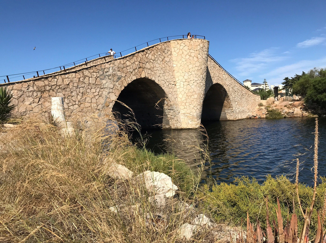 Puente de la Risa景点图片