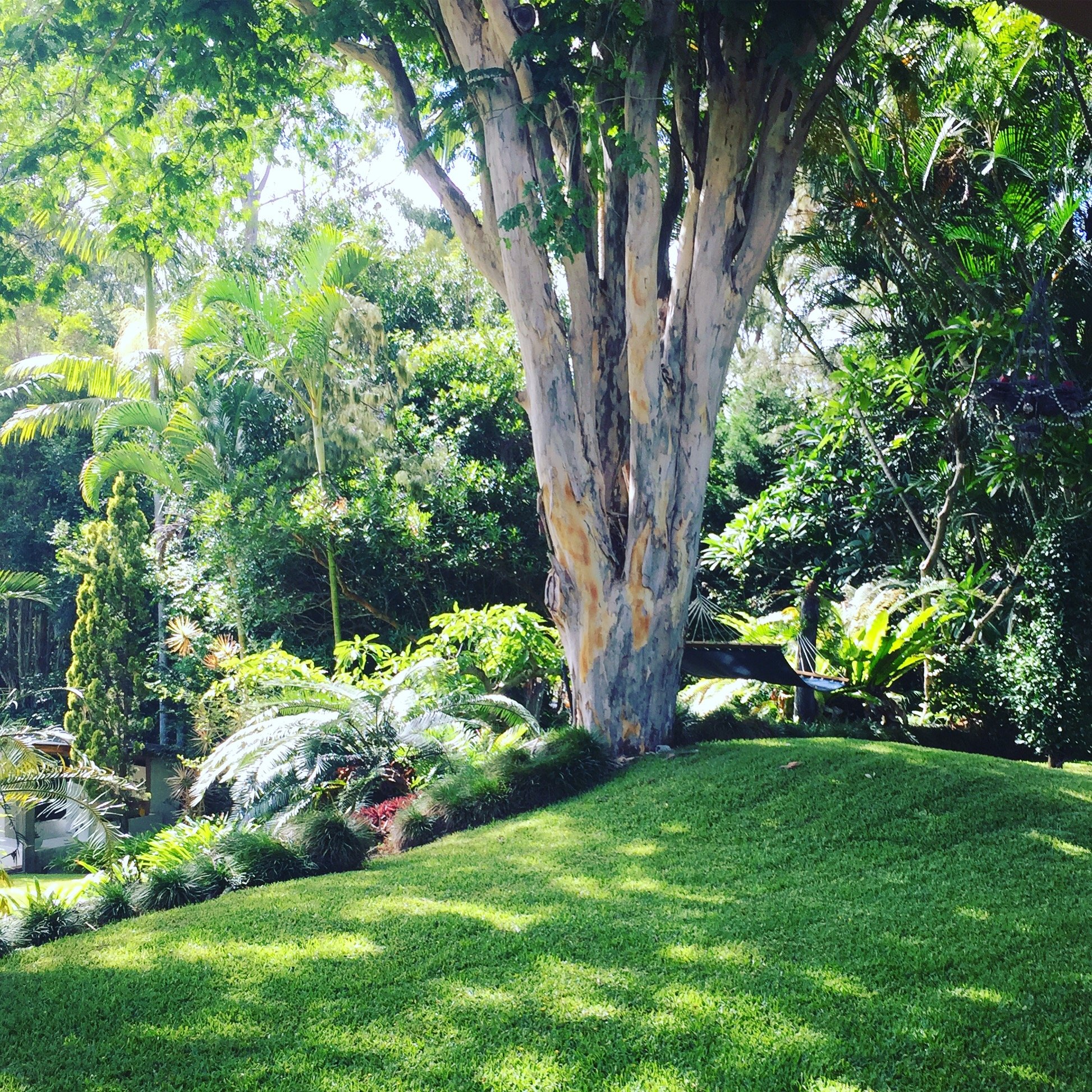 Sensom Luxury Bed & Breakfast-酒店景观