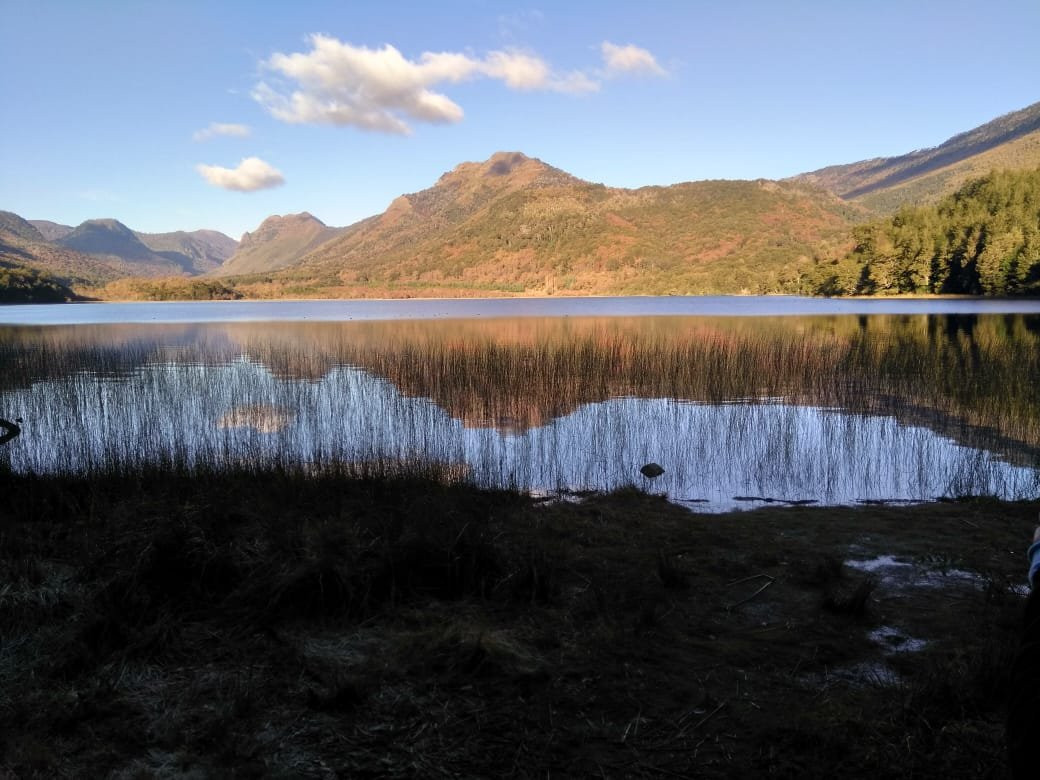 Curacautin旅游景点-Parque Nacional Tolhuaca
