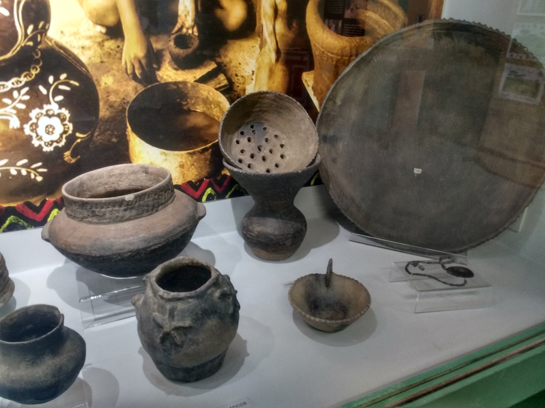 Museu Arqueológico de Sambaqui景点图片