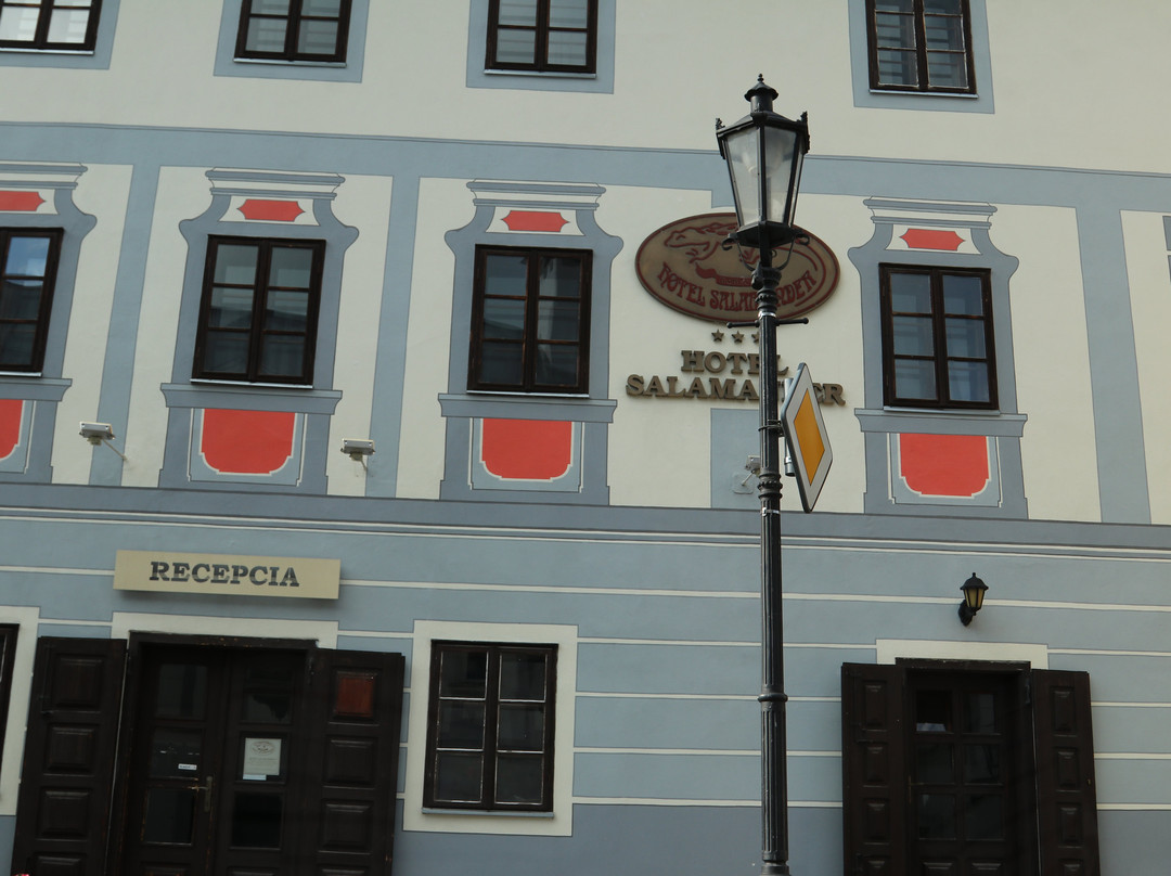 Hotel Salamander主图