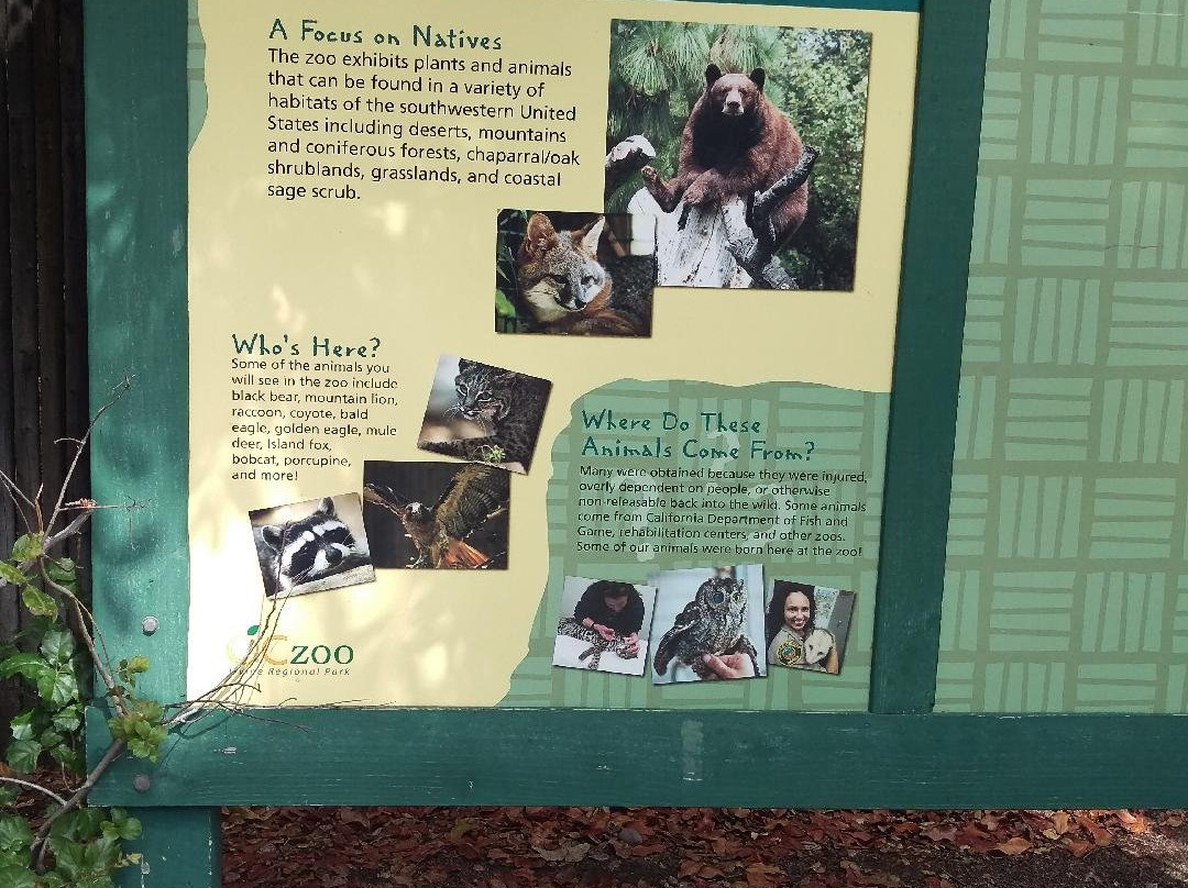 Orange County Zoo-橘子郡必去景点