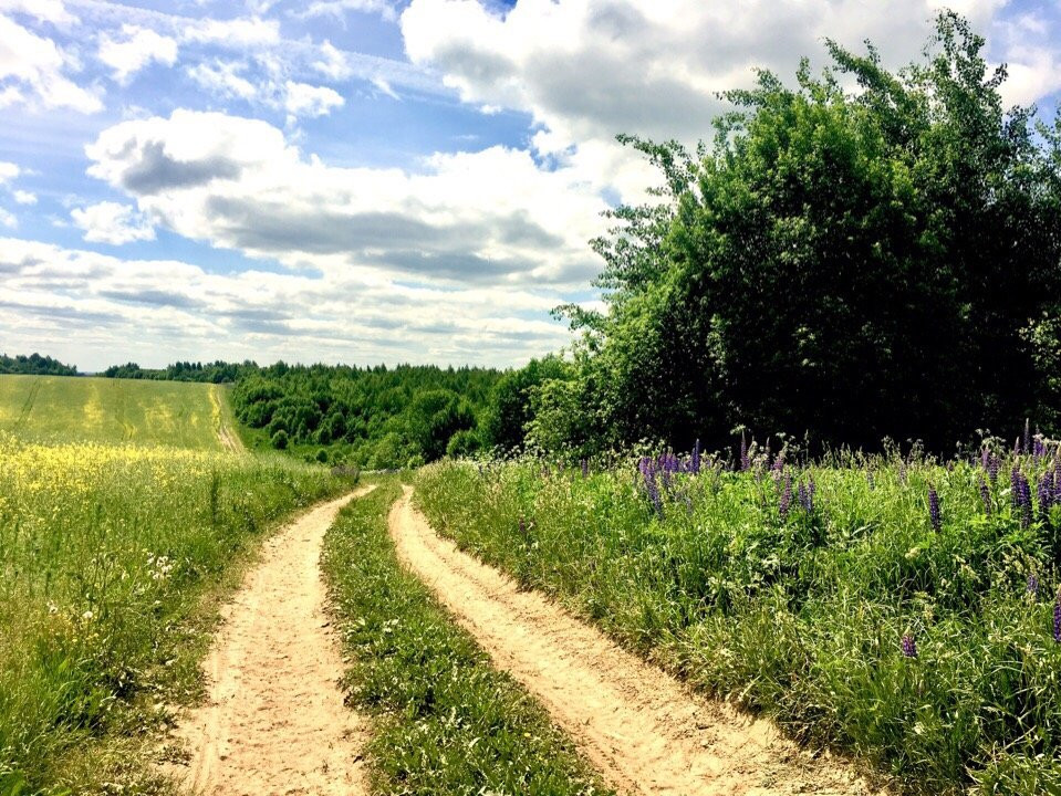 Mini-Hotel Vysokoe主图