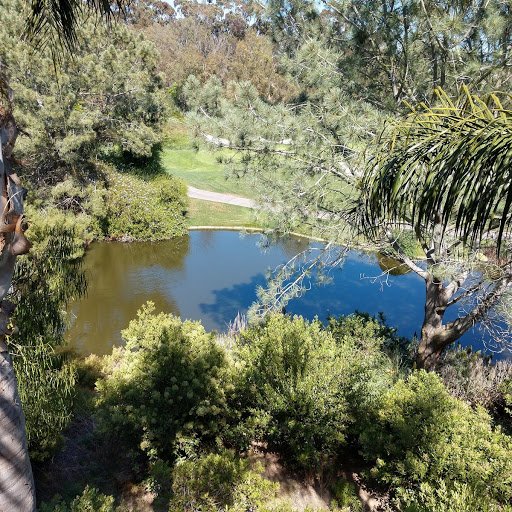 Four Seasons Residence Club San Diego, Aviara-酒店景观