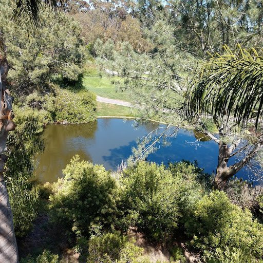 Four Seasons Residence Club San Diego, Aviara主图