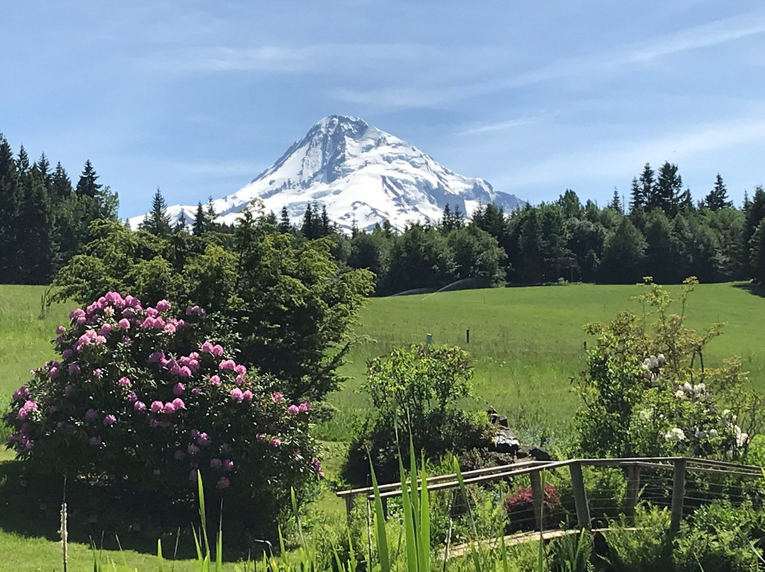 Mt. Hood Bed and Breakfast主图