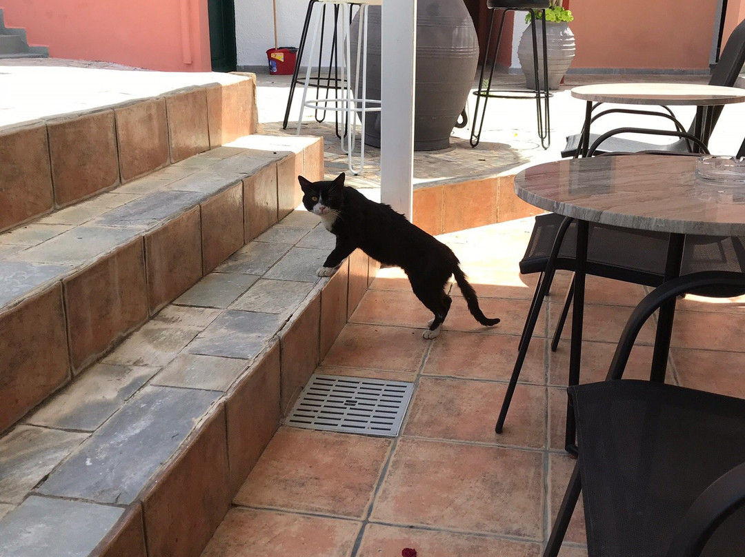 Kri Kri Village Holiday Apartments主图