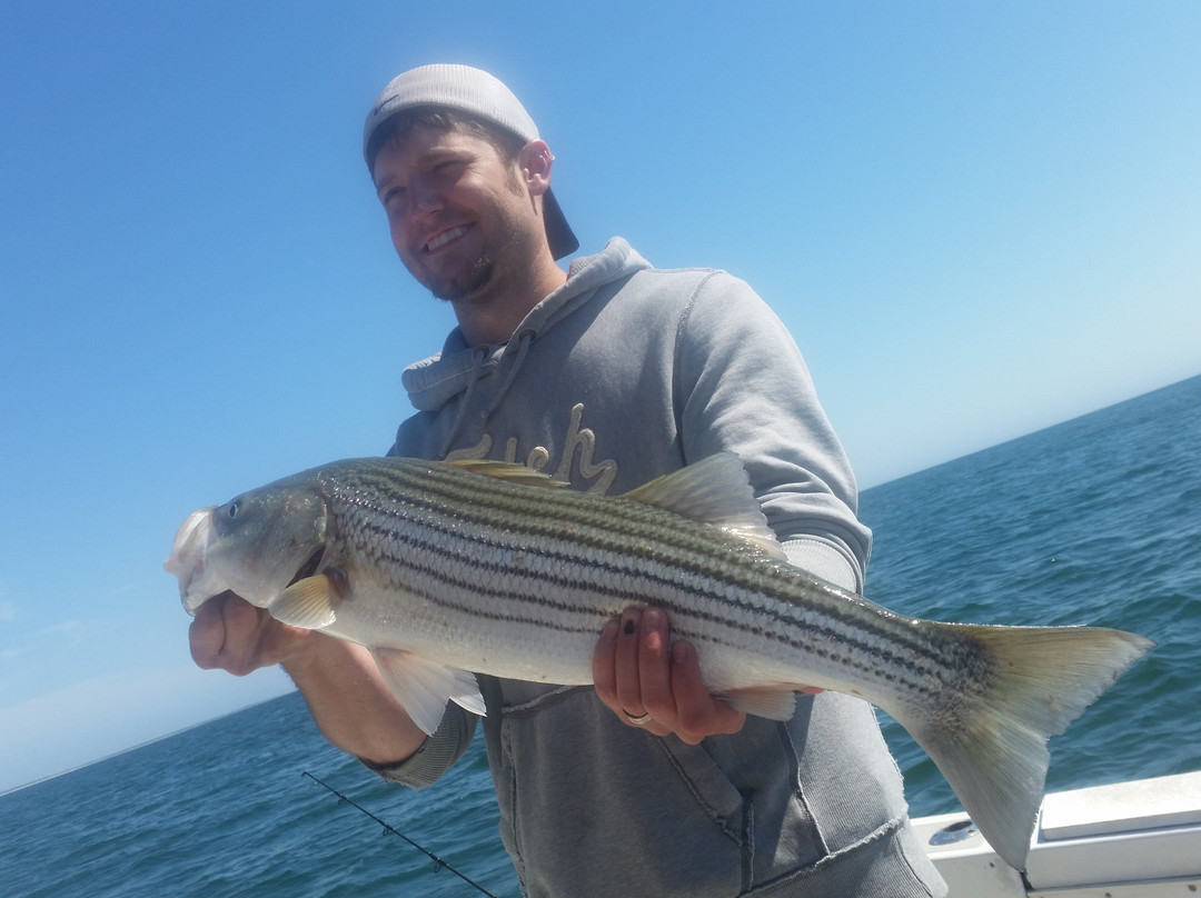 Sea Charters Sportfishing景点图片