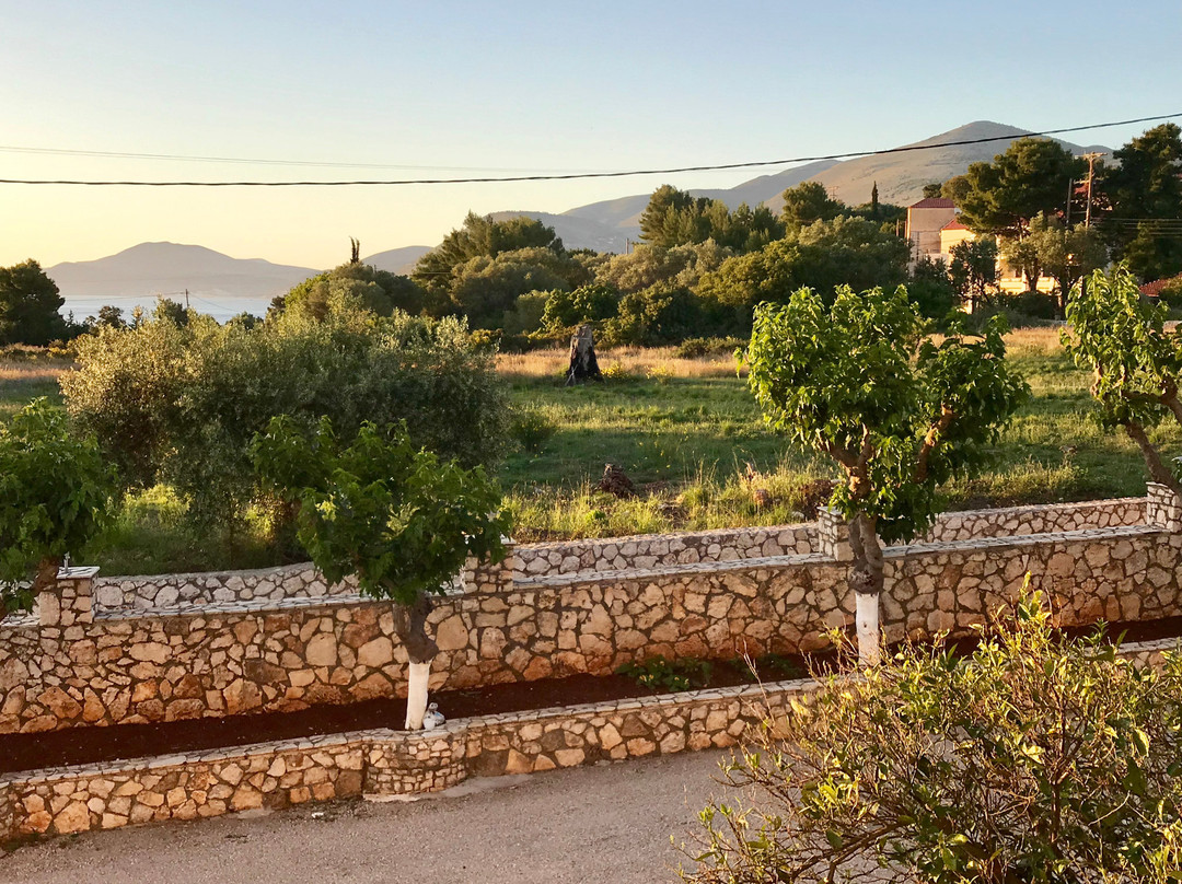 Limanaki Hotel主图