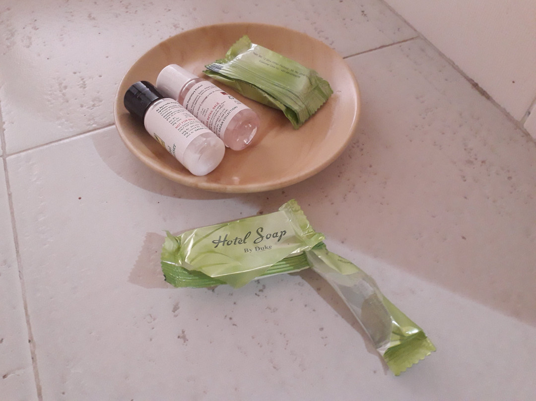 Kausani Best Inn主图