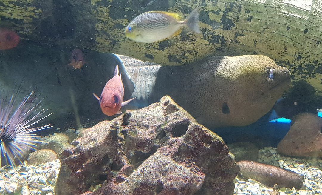 Kung Kraben Aquarium-科隆库必去景点