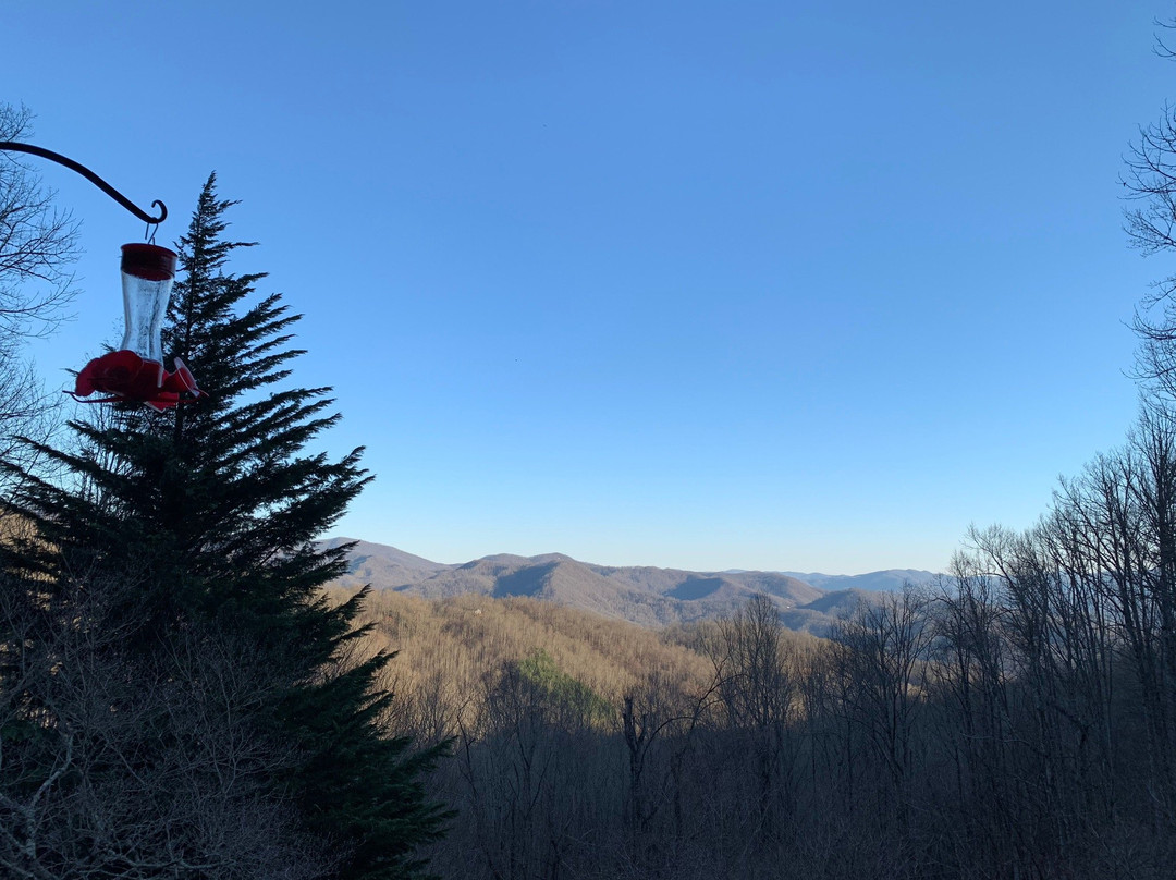 Smokey Mountain Excursions景点图片
