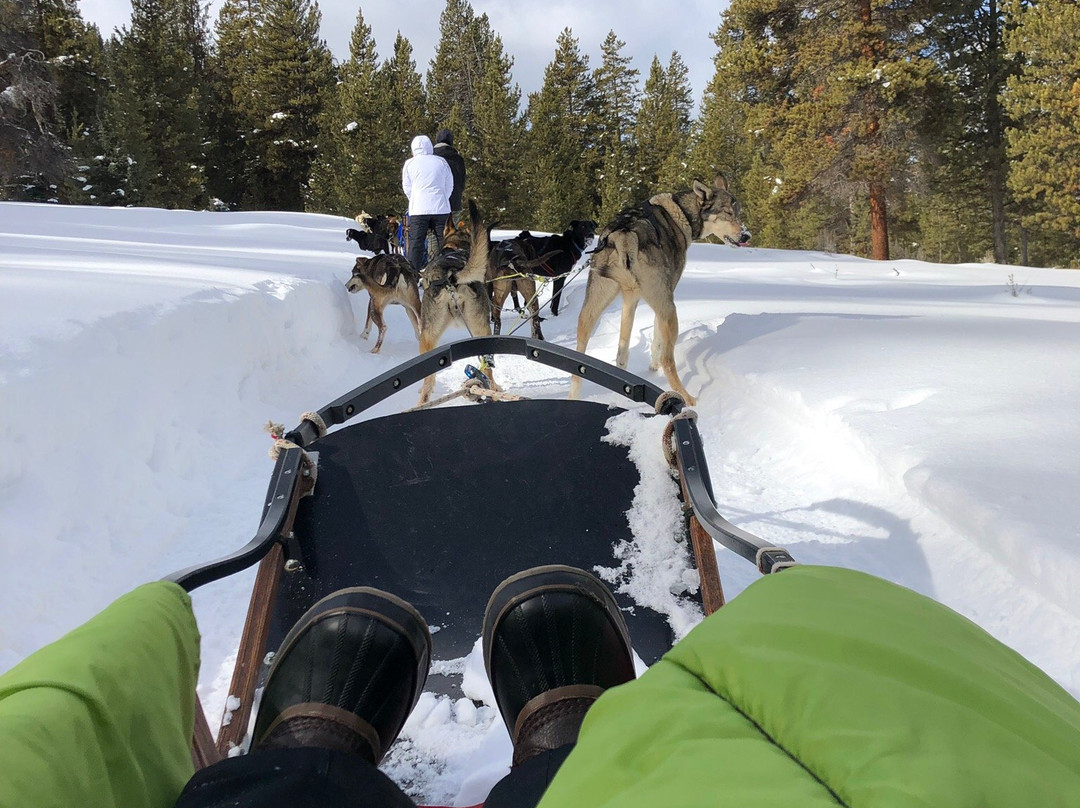 Yellowstone Dog Sled Adventures景点图片