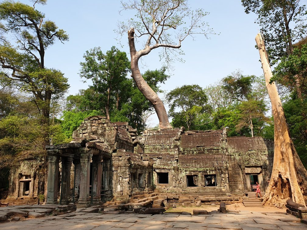 Ta Prohm Temple景点图片