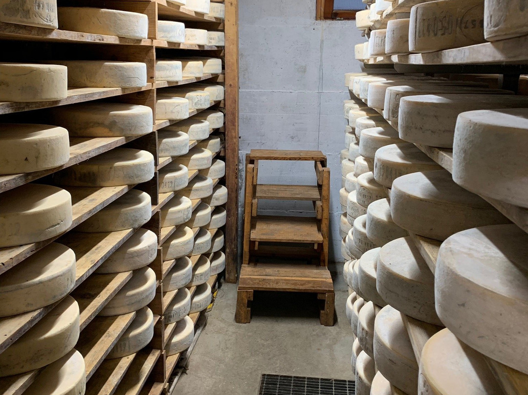 Azienda Agricola Monaci Sebastiano & F.lli景点图片