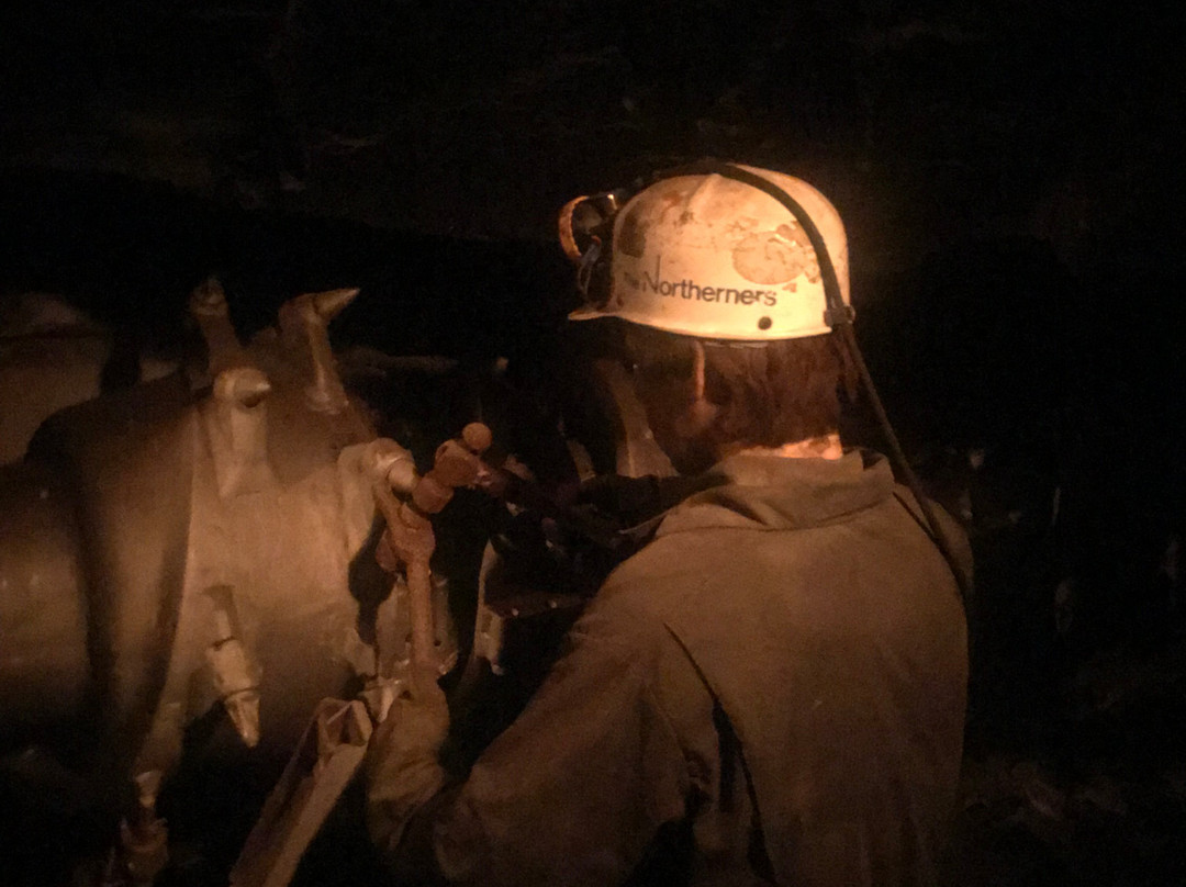 Portal 31-Lynch必去景点